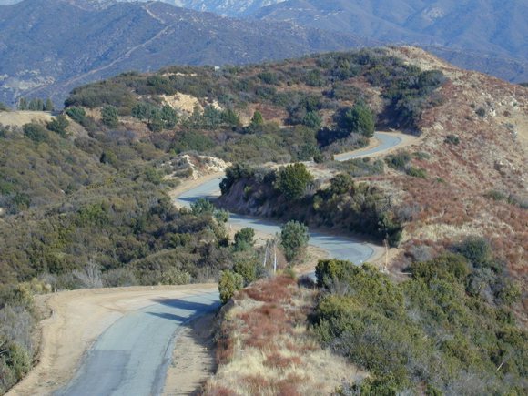 A view looking along Glendora Ridge Road