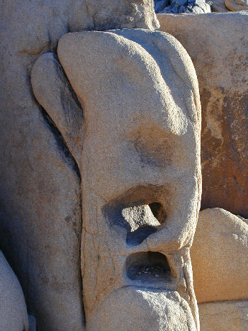 Strange looking rock that may have been carved by the same people that carved the Easter Island idols