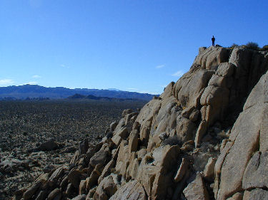Will Plamer standing on a cliff in Joshua Tree National Park