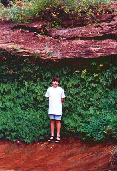 Andy standing next to ferns