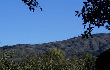 Bluebird Hill, northeast of treedeck