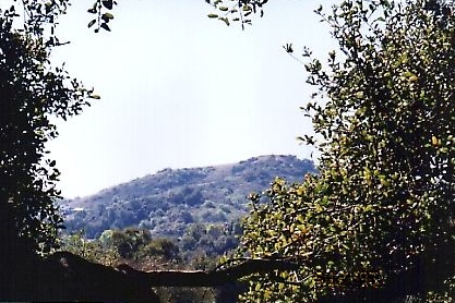 View from the treedeck of the South Hills of Glendora in the distance