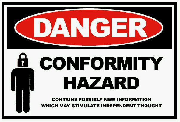 conformity hazard - contains possibly new information that may stimulate thought