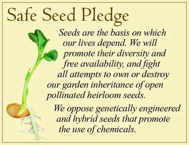 safe seed pledge