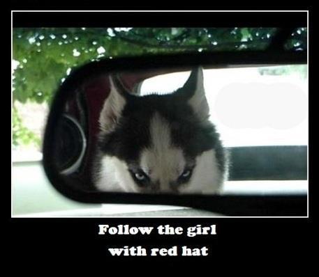 red riding hood
