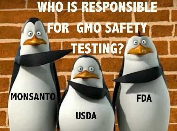 GMO testing