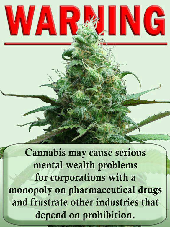 cannabis prohibition