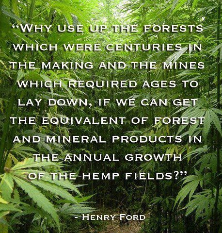 hemp henry ford