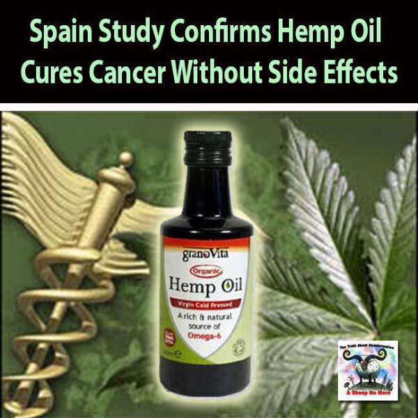 hemp oil cures cancer