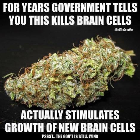 stimulate brain cell growth