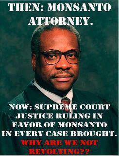monsanto attorney turned supreme court justice