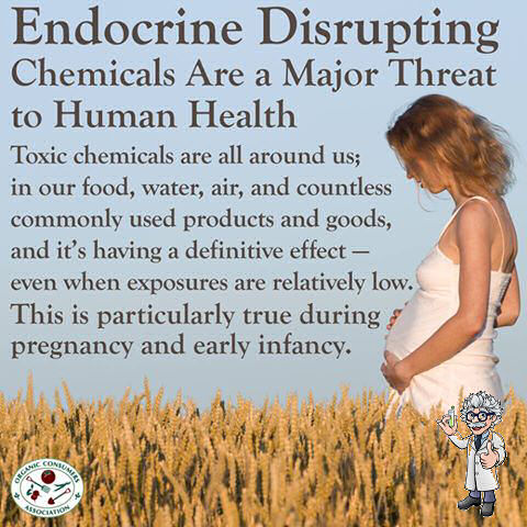 endocrine disruptor