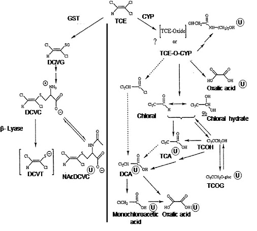 trichloroethylene