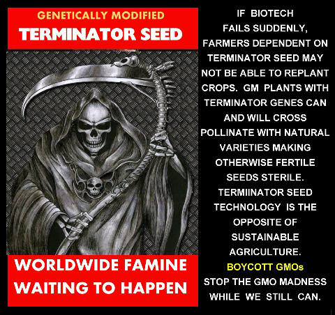 terminator seed