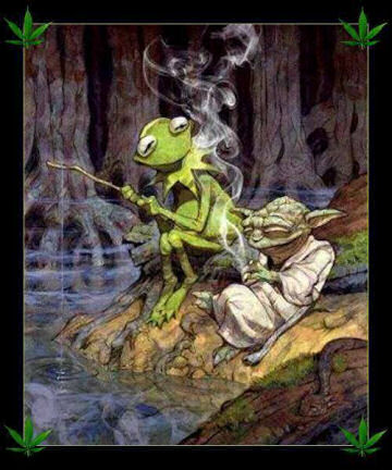 Kermit and Yoda fishing for catfish