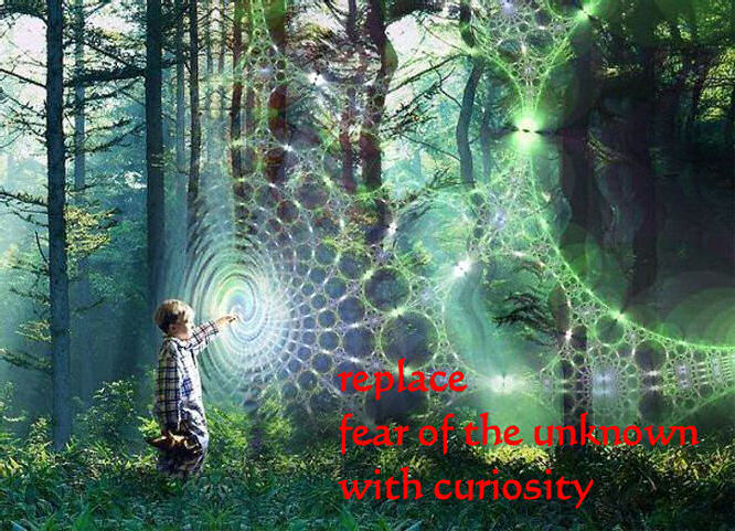 replace fear of the unknown with curiosity