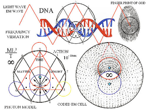 fingerprint of God