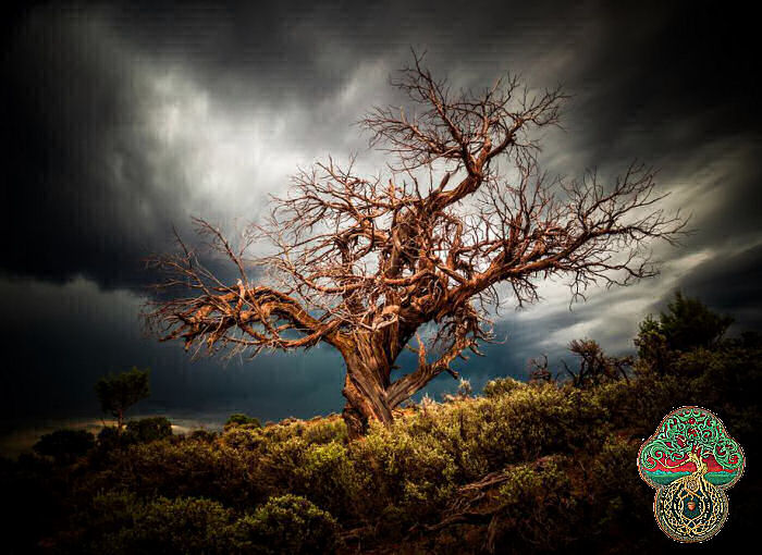 storm cloud over dead tree