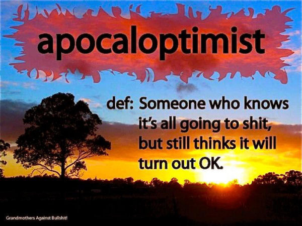 apocaloptimist