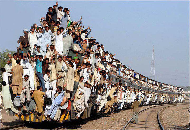 trainload of species