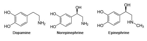 neurotransmitters