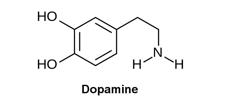 dopamine