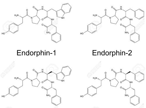 endorphin