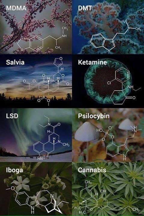 entheogen molecule