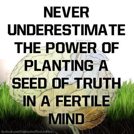plant a seed of truth 