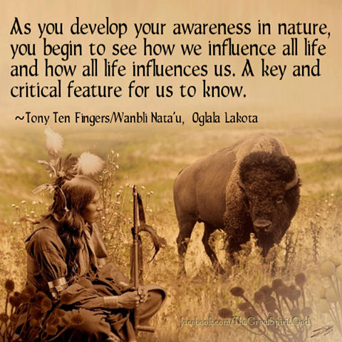 awareness of Nature