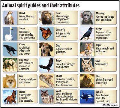 animal spirit guides