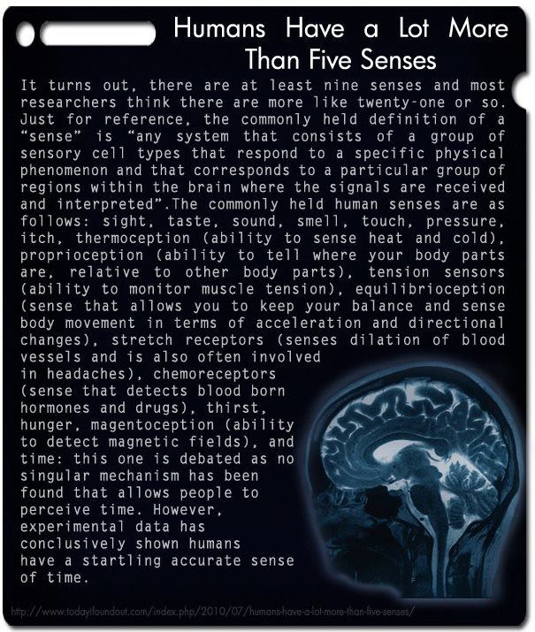 21 senses