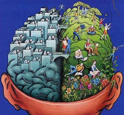 left brain right brain