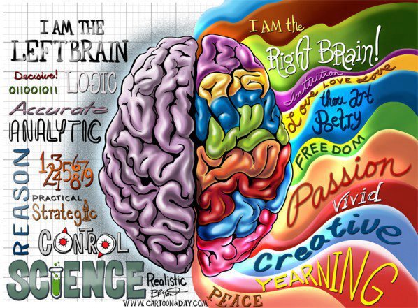 left_brain_analytical_right_brain_intuition