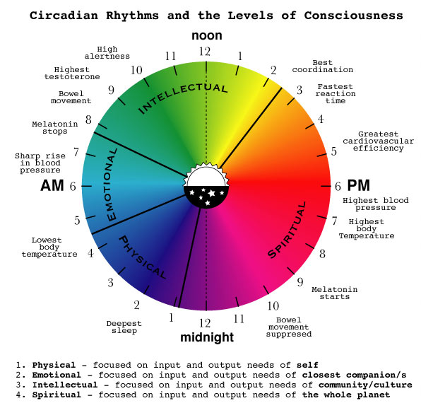 Circadian Rythms and Levels of Consciousness