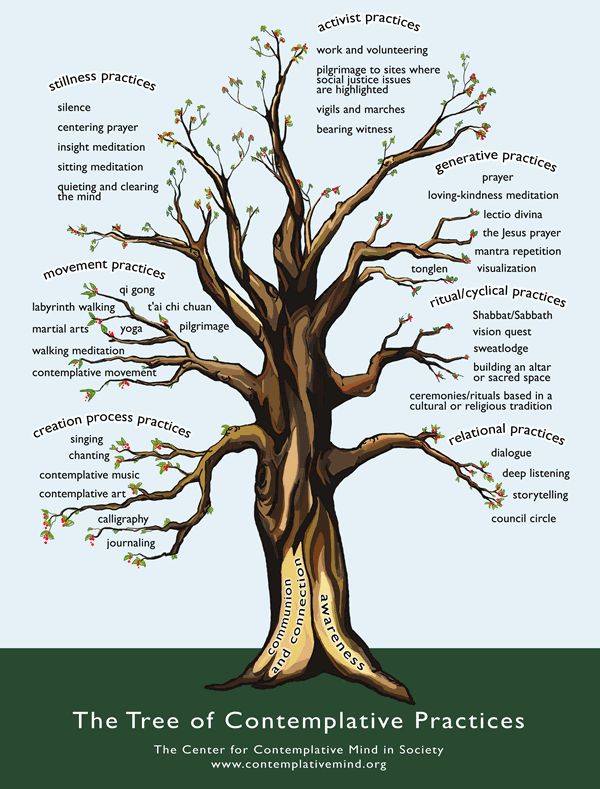 tree_of_contemplative_practices