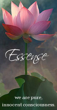 essence